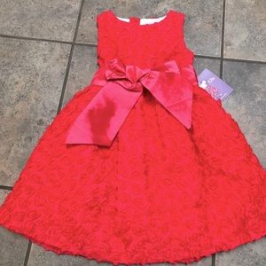 🌼NEW🌼Joe ELLE Toddler Fancy Dress Sz 24 Months